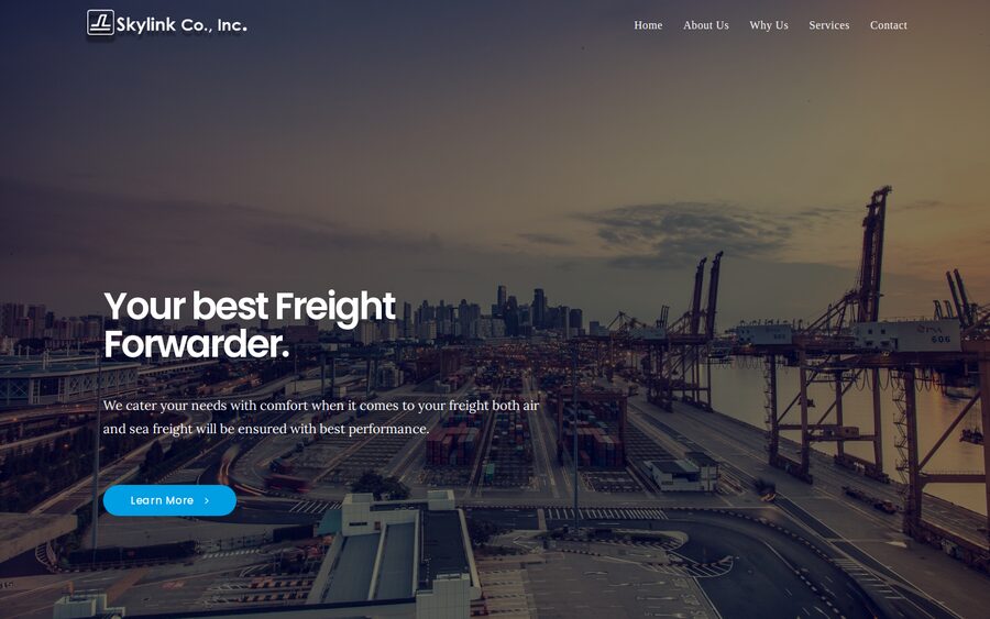 Skylink company website, from Miyatech’s existing portfolio